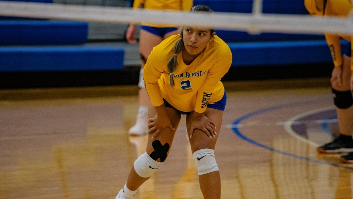 Volleyball Picks Up Road Victory over M|State
